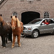 Sorento plus 2 PS.jpg